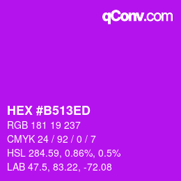 Color code: HEX #B513ED | qconv.com