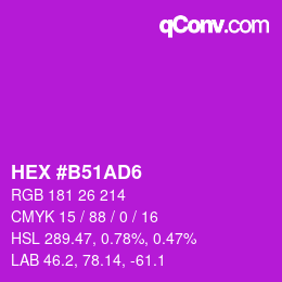 カラーコード: HEX #B51AD6 | qconv.com