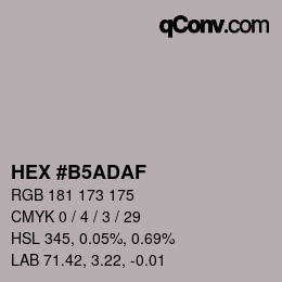 Color code: HEX #B5ADAF | qconv.com