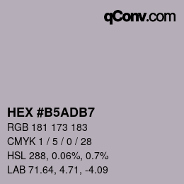 Farbcode: HEX #B5ADB7 | qconv.com