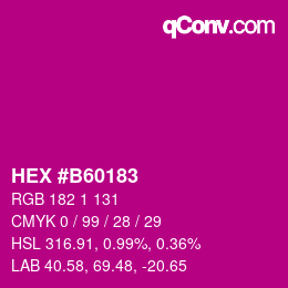 Color code: HEX #B60183 | qconv.com