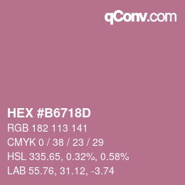 Color code: HEX #B6718D | qconv.com