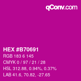 Color code: HEX #B70691 | qconv.com