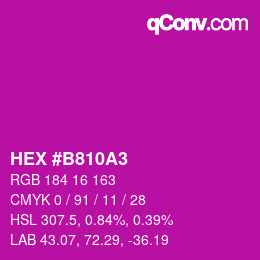颜色代码: HEX #B810A3 | qconv.com