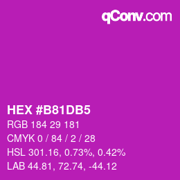 Color code: HEX #B81DB5 | qconv.com