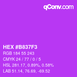 Color code: HEX #B837F3 | qconv.com
