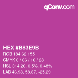Color code: HEX #B83E9B | qconv.com