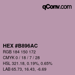 Farbcode: HEX #B896AC | qconv.com
