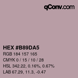 Farbcode: HEX #B89DA5 | qconv.com
