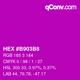 カラーコード: HEX #B903B8 | qconv.com