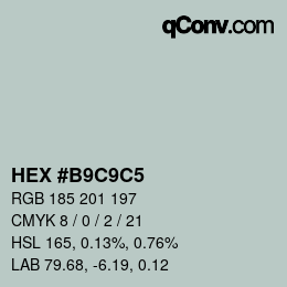 Color code: HEX #B9C9C5 | qconv.com