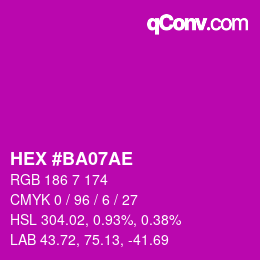 Color code: HEX #BA07AE | qconv.com