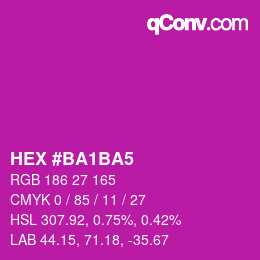 Color code: HEX #BA1BA5 | qconv.com