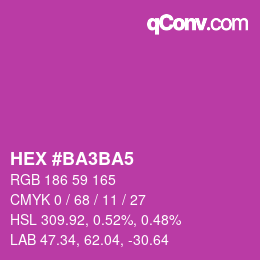 颜色代码: HEX #BA3BA5 | qconv.com