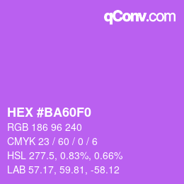 Color code: HEX #BA60F0 | qconv.com