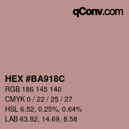 Color code: HEX #BA918C | qconv.com