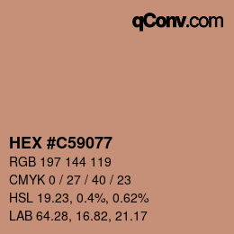 Código de color: HEX #C59077 | qconv.com
