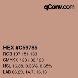 Color code: HEX #C59785 | qconv.com