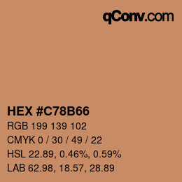 颜色代码: HEX #C78B66 | qconv.com