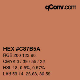 Color code: HEX #C87B5A | qconv.com