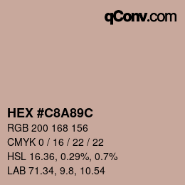 Color code: HEX #C8A89C | qconv.com