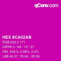 颜色代码: HEX #CA02AB | qconv.com