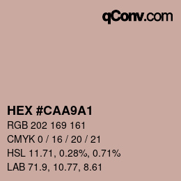 Color code: HEX #CAA9A1 | qconv.com