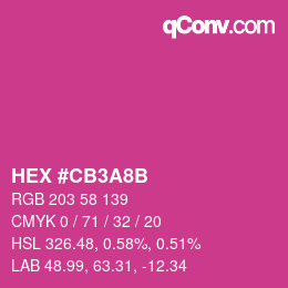 Color code: HEX #CB3A8B | qconv.com