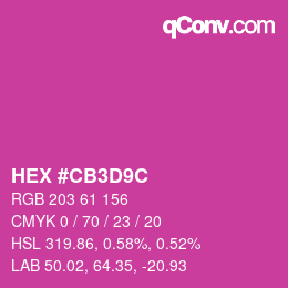 Color code: HEX #CB3D9C | qconv.com
