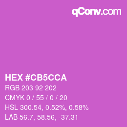 Color code: HEX #CB5CCA | qconv.com