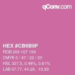 Color code: HEX #CB6B9F | qconv.com
