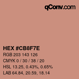 Color code: HEX #CB8F7E | qconv.com