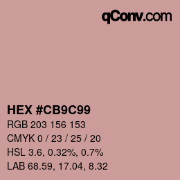 颜色代码: HEX #CB9C99 | qconv.com