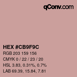 Color code: HEX #CB9F9C | qconv.com