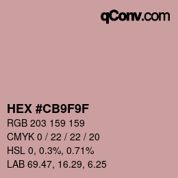 Color code: HEX #CB9F9F | qconv.com
