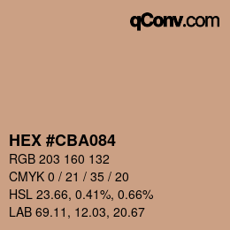 Código de color: HEX #CBA084 | qconv.com