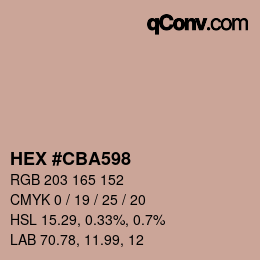 Color code: HEX #CBA598 | qconv.com