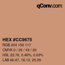 Color code: HEX #CC9675 | qconv.com