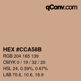 Color code: HEX #CCA58B | qconv.com