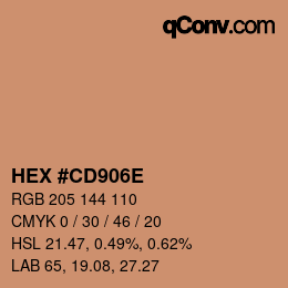 Color code: HEX #CD906E | qconv.com