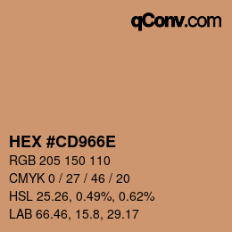 Color code: HEX #CD966E | qconv.com