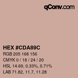 Color code: HEX #CDA89C | qconv.com