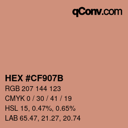 Color code: HEX #CF907B | qconv.com