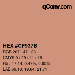 Color code: HEX #CF937B | qconv.com