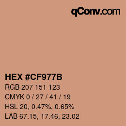 Color code: HEX #CF977B | qconv.com