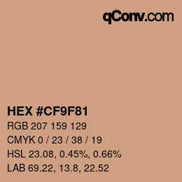 Color code: HEX #CF9F81 | qconv.com
