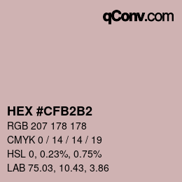 Color code: HEX #CFB2B2 | qconv.com