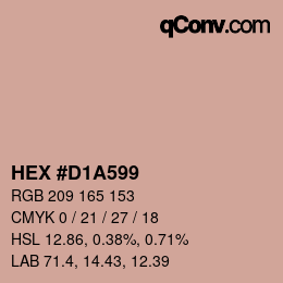Color code: HEX #D1A599 | qconv.com