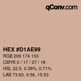 Color code: HEX #D1AE99 | qconv.com
