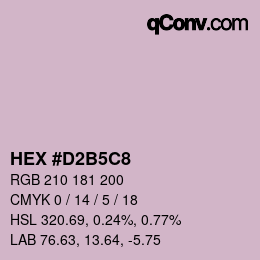 カラーコード: HEX #D2B5C8 | qconv.com